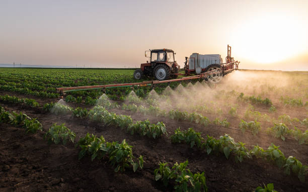 Best Mosquito Control Services  in Sylvania, OH