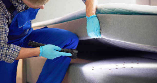 Best Affordable Pest Control Services  in Sylvania, OH