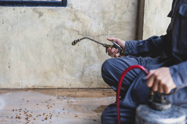 Best Residential Pest Control  in Sylvania, OH